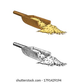 Ginger root spice, Chopped rhizome, Fresh plant ingredient. Vector Engraved hand drawn sketch. Pieces of ingredient set. Detox spice. 