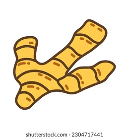 Ginger root spice. Colorful isolated food vector illustration hand drawn with contour doodle. Organic fresh icon