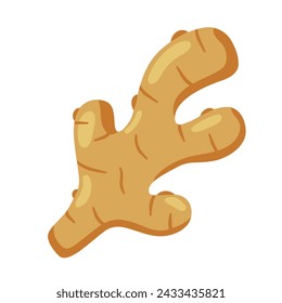 Ginger root. Spice flavor food. Spicy ingredient flat icon. Asian aroma medicine herb. Raw seasoning vegetable isolated on white background.
