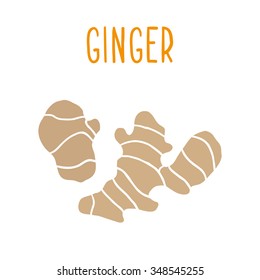 Ginger root superfood. Vector hand drawn illustration