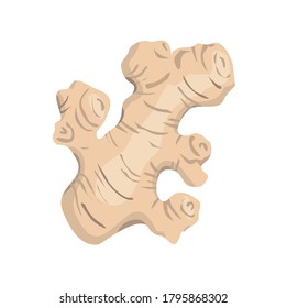 Ginger root. Vector drawing on a white background isolated. Doodle.