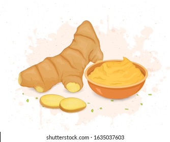 Ginger root vector illustration with ginger paste bowl and round slices