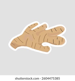 Ginger Root Vector Illustration Sticker. Simple vector illustration of ginger root sticker. Perfect for culinary, herbal medicine, organic food, and spice-related designs