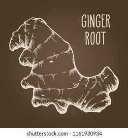 Ginger root in vintage beige isolated over brown background. Hand drawn sketch herbs and spices vector illustration.