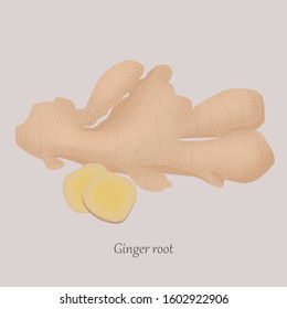 Ginger root whole and sliced in slices on a gray background. Healthy, fresh ginger and logo.