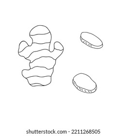 Ginger root, whole, slices and powder in spoon  simple outline vector illustration, Japanese traditional spice culinary ingredient