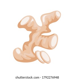 ginger roots on white background vector illustration design