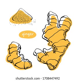 Ginger. Roots and powder. Colorful sketch collection of herbs and spices isolated on white background. Doodle hand drawn healthy food icons. Vector illustration
