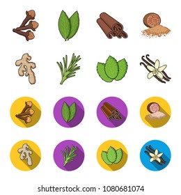 Ginger, rosemary, vanilla, mint.Herbs and spices set collection icons in cartoon,flat style vector symbol stock illustration web.