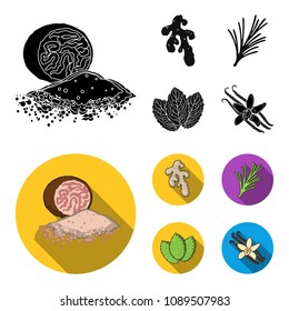 Ginger, rosemary, vanilla, mint.Herbs and spices set collection icons in black, flat style vector symbol stock illustration web.