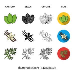 Ginger, rosemary, vanilla, mint.Herbs and spices set collection icons in cartoon,black,outline,flat style vector symbol stock illustration web.