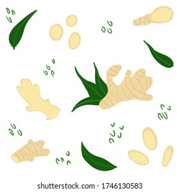 Ginger seamless pattern. Ginger root whole, sliced, cut, half isolated on white background. Ginger with leaves for fabric, textile, kitchen design