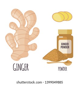 Ginger set with powder in flat style isolated on white background. Organic healthy food. Medicinal herbs collection. Vector illustration.