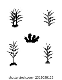 ginger set vector, silhouette spices.