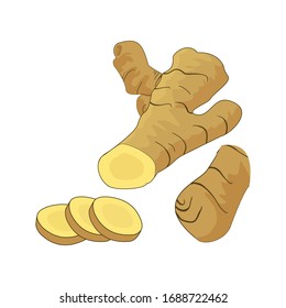 Ginger with a shadow on a white background. Vector illustration