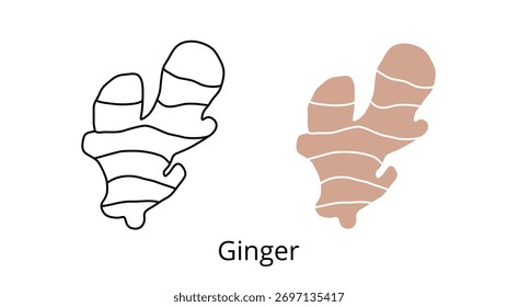 Silhueta de gengibre e ícone de linha, traçado editável