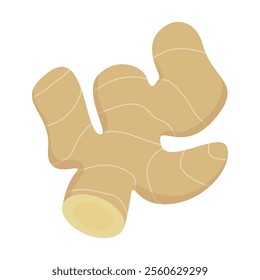 Ginger simple flat isolated illustration
