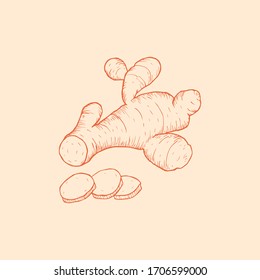 
Ginger sketch isolated. Hand drawn design. Vector illustration.