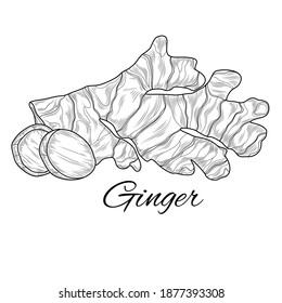 Ginger sketch.Coloring. Illustration isolated on white background.Zen-tangle style.
Black and white drawing