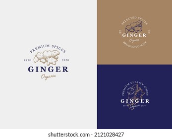 Ginger Spice Hand Draw Logo Template with Premium Vintage Typography. Stylish Vintage Vector Emblem Concept.