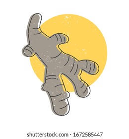 Ginger spice hand drawn icon, dried ginger root colorful vector illustration for printing