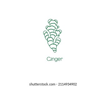 ginger spices icon vector illustration 