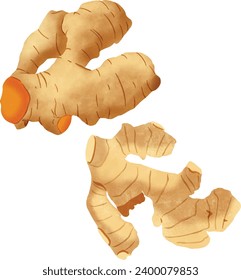 Ginger Spices Vector Illustration Color 