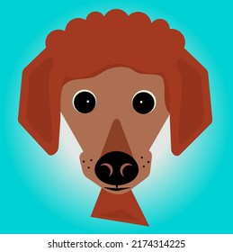 Ginger Standard poodle puppy cartoon illustration