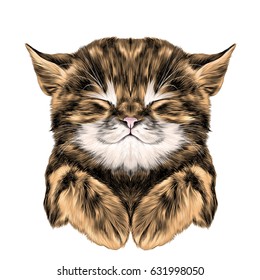 a ginger striped kitten asleep with folded legs muzzle, sketch vector graphics color picture