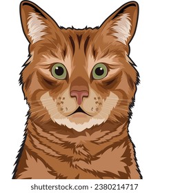 Ginger Tabby Cat Face Vector illustrations for Graphic Design, t-shirt prints, posters, and Mugs