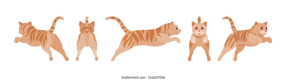 Ginger Tabby Cat jumping. Active healthy kitten with orange, red, and yellow-colored fur, cute funny pet in attack. Vector flat style cartoon illustration isolated on white background, different views