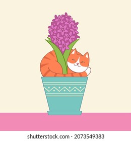 Ginger tabby cat lies in a pot with a hyacinth flower. Vector illustration for festive greeting cards design, textile, wallpapers, print, T-shirts, gift wrap and scrapbooking.