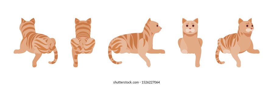 Ginger Tabby Cat lying. Active healthy kitten with orange, red, and yellow-colored fur, cute funny pet having rest. Vector flat style cartoon illustration isolated on white background, different views