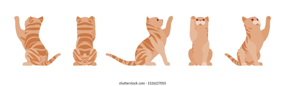 Ginger Tabby Cat playing. Active healthy kitten with orange, red, and yellow-colored fur, cute funny pet. Vector flat style cartoon illustration isolated on white background, different views