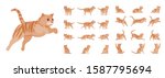 Ginger Tabby Cat set. Active healthy kitten with orange, red, and yellow-colored fur, cute funny pet. Vector flat style cartoon illustration isolated on white background, different views and poses