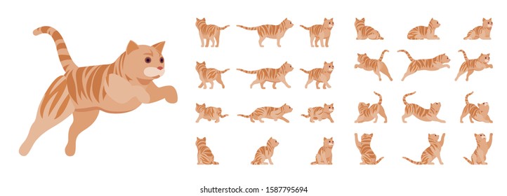 Ginger Tabby Cat set. Active healthy kitten with orange, red, and yellow-colored fur, cute funny pet. Vector flat style cartoon illustration isolated on white background, different views and poses