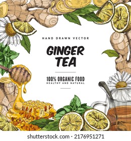 Ginger tea colorful hand drawn banner background, sketch vector illustration. Banner or frame template with ginger, honey and other herbal ingredients for tea.