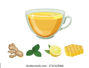 Ginger tea in glass cup isolated on white background. Ginger root, mint leaves, lemon slice, lemon slice, honeycomb. Vector illustration cartoon flat icon isolated on white.