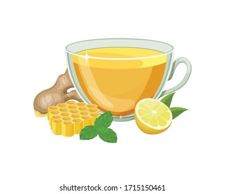 Ginger tea in glass cup isolated on white background. Ginger root, mint leaves, lemon slice, lemon slice, honeycomb. Vector illustration cartoon flat icon isolated on white.