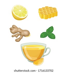 Ginger tea in glass cup isolated on white background. Ginger root, half of lemon, honeycomb. Vector illustration of hot drink.