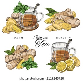 Ginger tea with lemon, honey, mint and chamomile - label. Concept of healthy food - herbs, honeycomb and citrus to treat colds. Color vector illustration background in sketch style