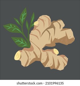 ginger tea, ginger root illustration