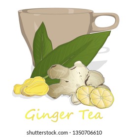 Ginger tea vector illustration isolated set white background. 