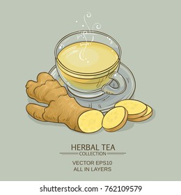 ginger tea vector illustration on color background