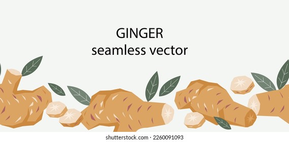 Ginger or turmeric spice seamless border design, hand drawn vector illustration isolated. Seamless decorative border or edge for food spices and tea packs design with ginger.