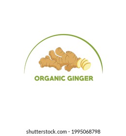 ginger vector color logo illustration