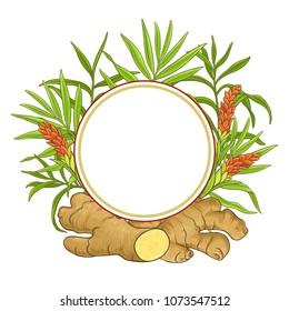 ginger vector frame