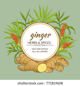 ginger vector frame