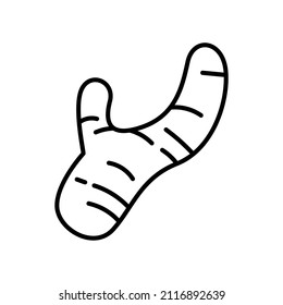 ginger vector, icon or symbol design