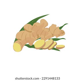 Ginger vector illustration. Cartoon style. Flat vector isolated on white background. Chopped ginger, ginger slice, ginger leaf.